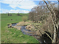 NT2446 : The Eddleston Water near the village by Jim Barton