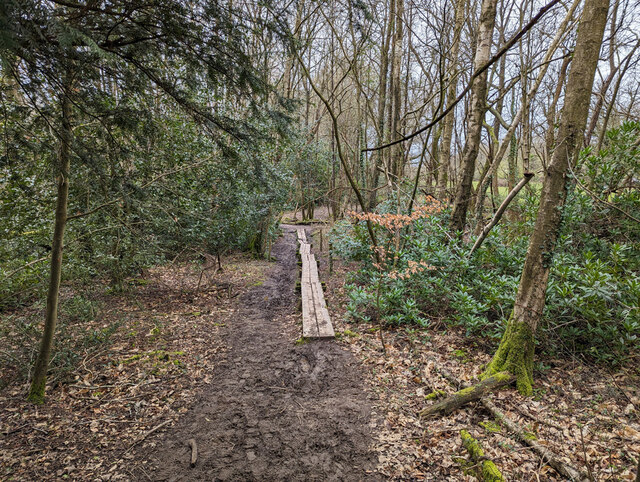 Footpath 3628, Horsham © Robin Webster cc-by-sa/2.0 :: Geograph Britain ...