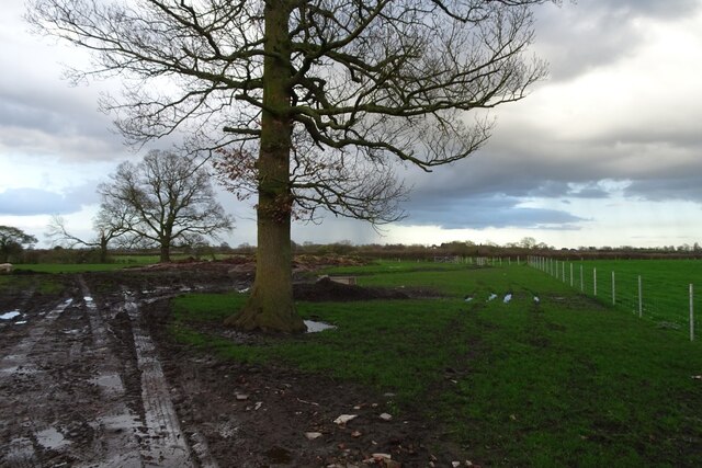 Field Beside Moor Lane © Ds Pugh Cc By Sa20 Geograph Britain And Ireland 