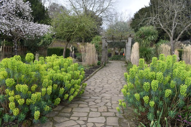 Path in The Rookery Garden © David Martin :: Geograph Britain and Ireland