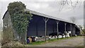 NY3553 : Barn at Orton Park Farm by Roger Templeman