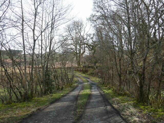 Farm track near Bàrr Mòr © Jonathan Thacker cc-by-sa/2.0 :: Geograph ...