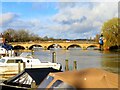 SU7682 : Henley Bridge over the River Thames by Steve Daniels