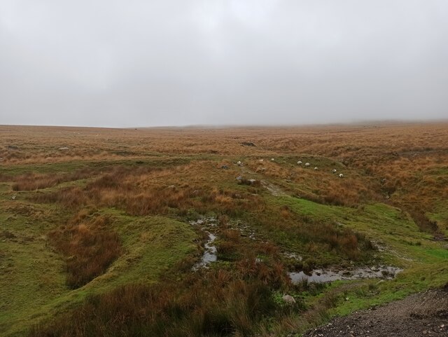 Dartmoor Way/High Moor Link © Dani :: Geograph Britain and Ireland