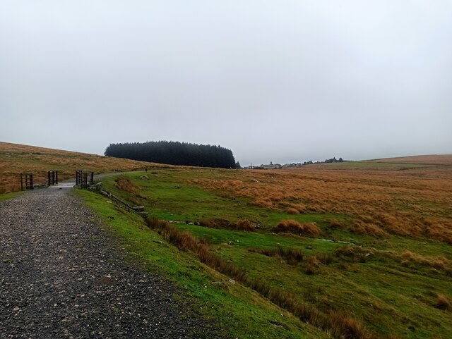 Dartmoor Way to Princetown © Dani :: Geograph Britain and Ireland