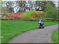 TQ1876 : Kew, winter garden, with mobility scooter by David Hawgood