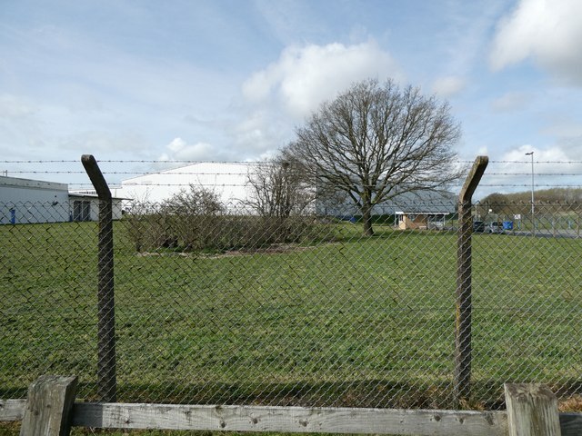 Hedgerow remnant on Hortonwood inside... © Jeremy Bolwell cc-by-sa/2.0 ...