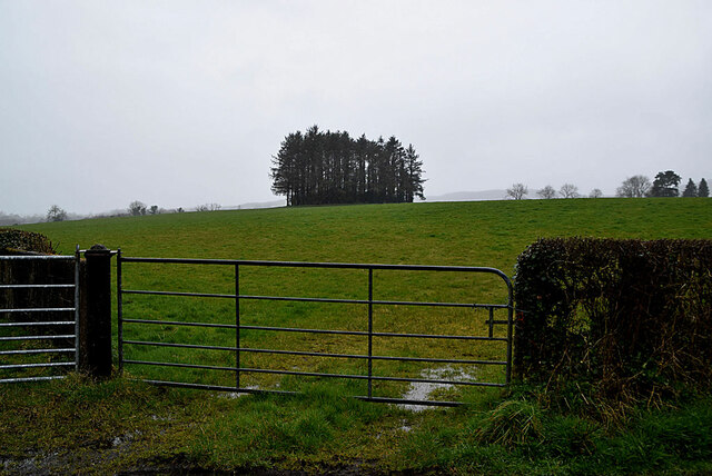 Rath site, Castleroddy Glebe © Kenneth Allen :: Geograph Britain and ...