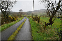 H4682 : Lisnaharney Road, Castleroddy Glebe by Kenneth  Allen