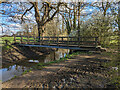 TQ2944 : Footbridge over Burstow Stream by Robin Webster
