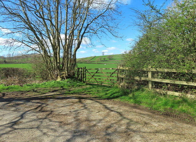 Moor Lane © Mary and Angus Hogg cc-by-sa/2.0 :: Geograph Britain and ...