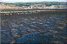 NZ9504 : Wave cut platforms at Robin Hood's Bay in North Yorkshire by Roger  D Kidd