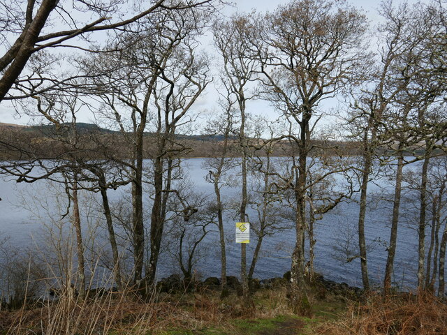 Trees by Loch Awe © Jonathan Thacker cc-by-sa/2.0 :: Geograph Britain ...