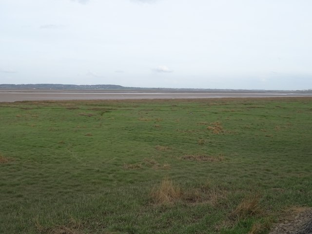 Salt marsh, Dee Estuary © JThomas :: Geograph Britain and Ireland