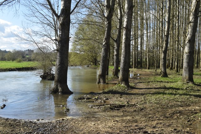 River Cherwell spilling into woodland at... © David Martin :: Geograph ...