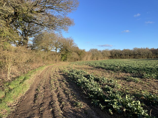 Copse Ground Field (10 acres) © Mr Ignavy cc-by-sa/2.0 :: Geograph ...