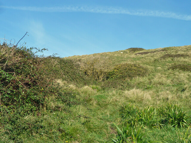 Slopes above Dancing Ledge © Robin Webster cc-by-sa/2.0 :: Geograph ...