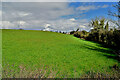 A large green field, Garvaghy