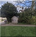 Yew, Coaley, Gloucestershire