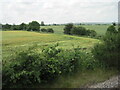 Fields near Market Warsop