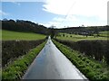 A long straight lane out of Tregynon, Powys