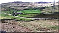 NY5504 : View of Crookdale Beck and farm buildings from west side of A6 by Roger Templeman