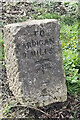 Old Milestone by the B4333, west of Adpar, Newcastle Emlyn