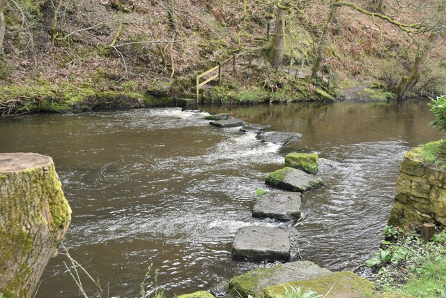 Stepping stones across the River Don © David Martin :: Geograph Britain ...