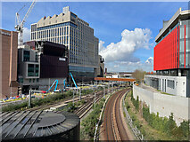 TQ3884 : East Bank and railway lines, Stratford by Paul Harrop