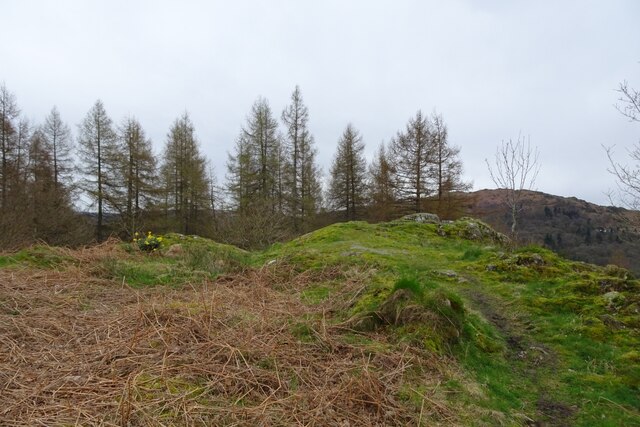 Summit of Neaum Crag © DS Pugh :: Geograph Britain and Ireland