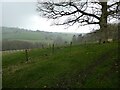 Incoming squall on a hilltop track