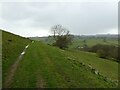 Hillside path