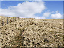 NT1013 : Hill slope with path rising beside fence by Trevor Littlewood