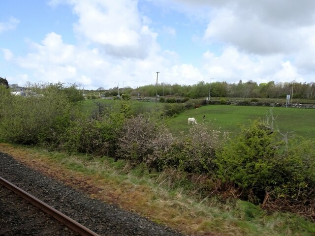 From a Chester-Holyhead train - Horses in a field