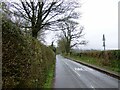 Chapel Lane towards Mouldsworth