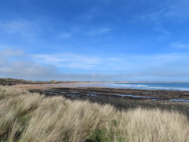 One end of Beadnell Bay © Matthew Chadwick :: Geograph Britain and Ireland