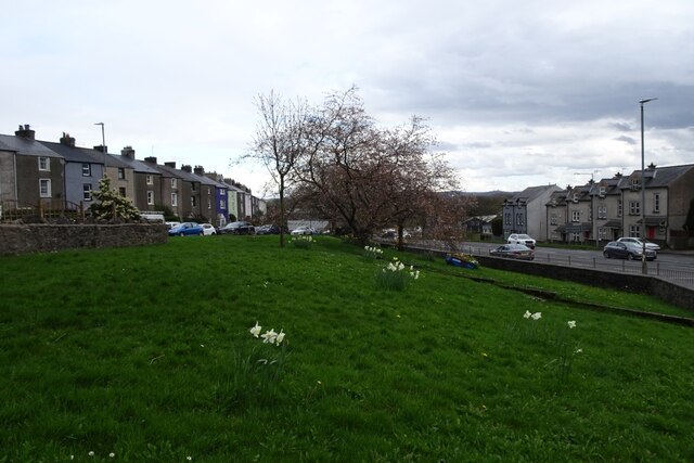 Daffodils near Sunderland Terrace © DS Pugh cc-by-sa/2.0 :: Geograph ...