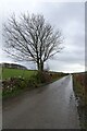 SD2784 : Lane near Keldray by DS Pugh