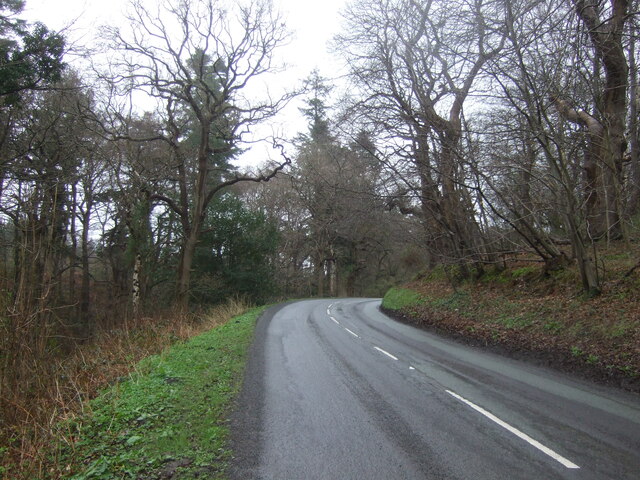 Ashton Road through Delamere Forest Park © JThomas cc-by-sa/2.0 ...