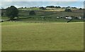 SE1960 : Yorkshire pastureland by N Chadwick