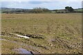 Arable field south of Castle Morris