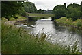 Wallness Bridge