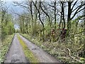 Track and Bridleway off Annesley Road