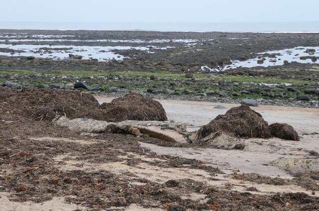 Heaps of seaweed left by recent storms © Russel Wills cc-by-sa/2.0 ...