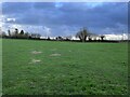 Pasture by Holy Trinity cemetery