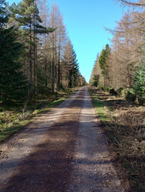 Scottish Forestry Path in Mulderie Wood © Lucas Kendall cc-by-sa/2.0 ...