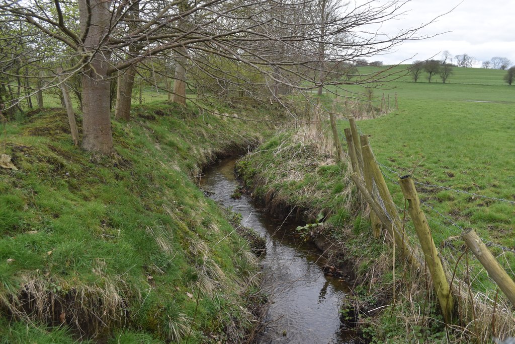 Stream beneath the Pennine Way at Newton... © David Martin :: Geograph ...