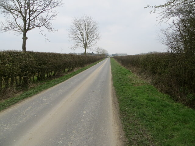 Hedge-lined and straight, Dunnington Lane heads for Dunnington