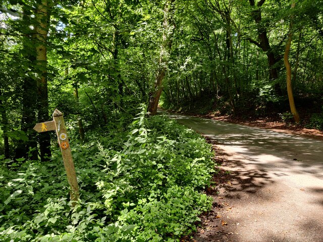 Lane through Acklands Coppice © Mat Fascione cc-by-sa/2.0 :: Geograph ...