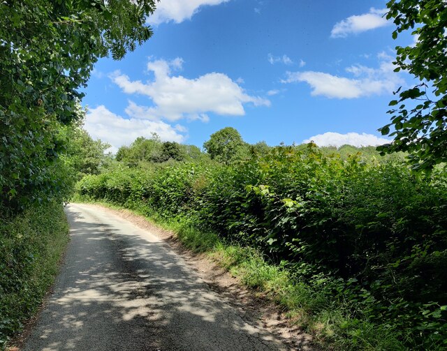 Lane heading towards Wyke © Mat Fascione cc-by-sa/2.0 :: Geograph ...